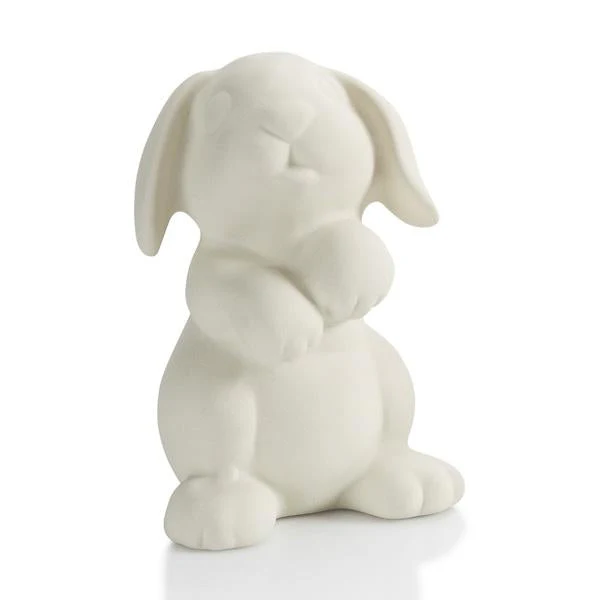 🐾 Bunny Collectible