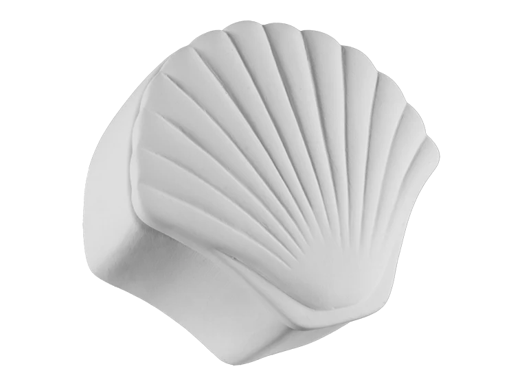 🦈 * Seashell Box
